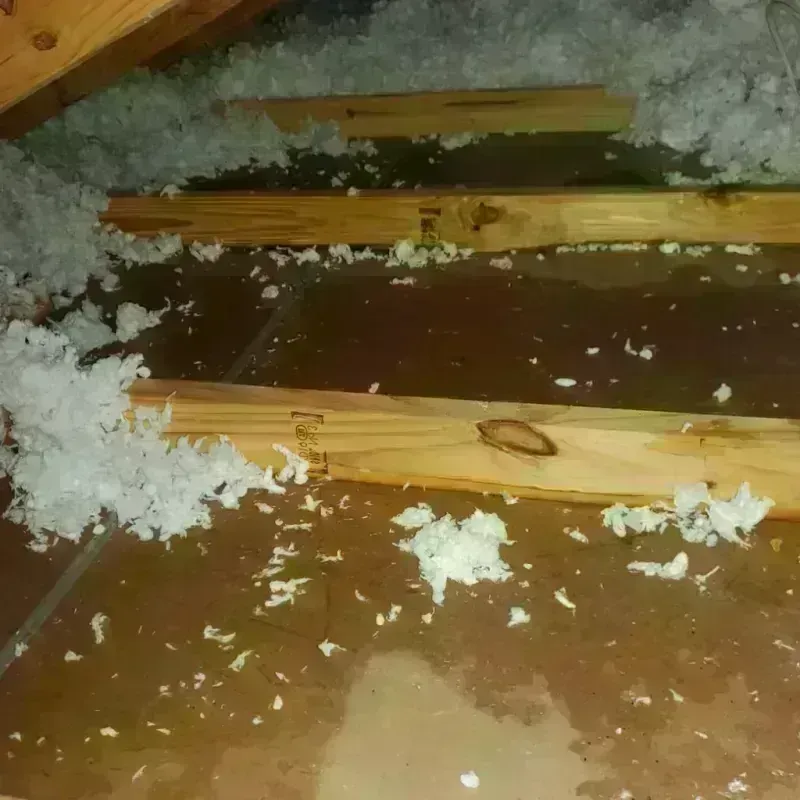 Attic Water Damage in Abbeville, GA