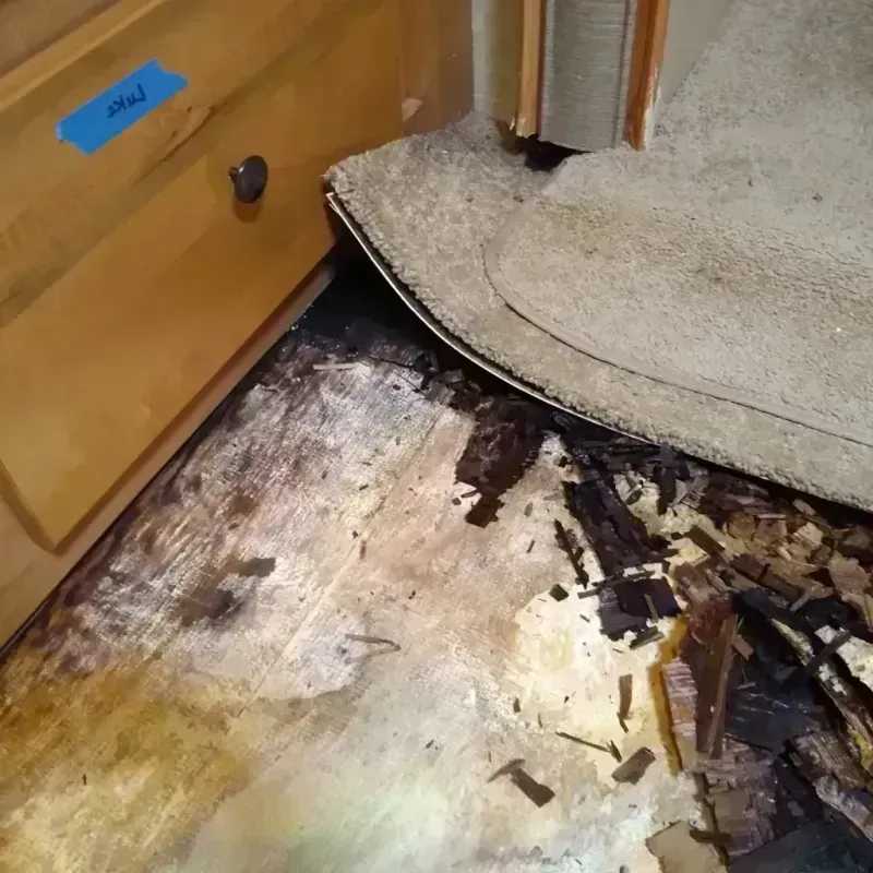 Best Wood Floor Water Damage Service in Abbeville, GA